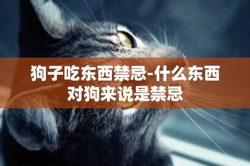 狗子吃東西禁忌-什么東西對狗來說是禁忌