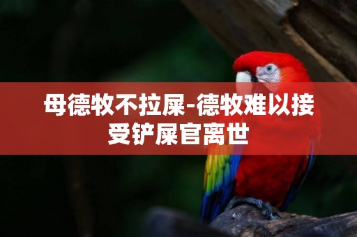母德牧不拉屎-德牧難以接受鏟屎官離世
