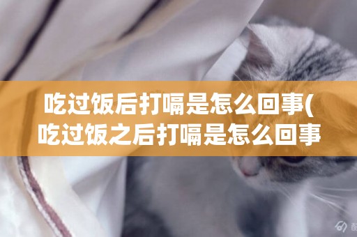 吃過飯后打嗝是怎么回事(吃過飯之后打嗝是怎么回事)