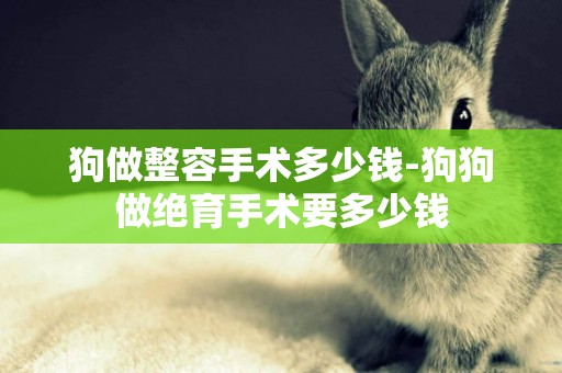 狗做整容手術多少錢-狗狗做絕育手術要多少錢