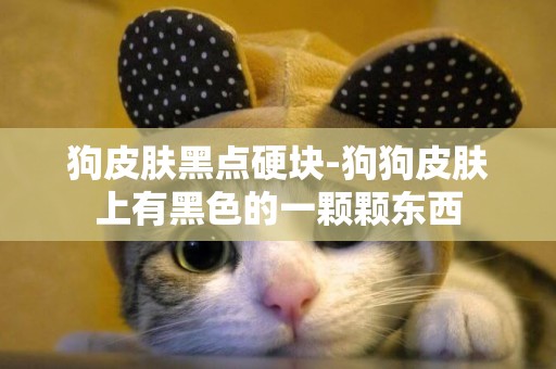 狗皮膚黑點硬塊-狗狗皮膚上有黑色的一顆顆東西