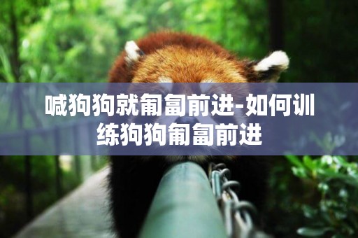 喊狗狗就匍匐前進-如何訓練狗狗匍匐前進