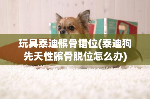 玩具泰迪髕骨錯位(泰迪狗先天性髕骨脫位怎么辦)