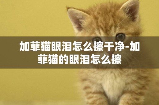 加菲貓眼淚怎么擦干凈-加菲貓的眼淚怎么擦