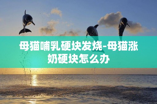 母貓哺乳硬塊發燒-母貓漲奶硬塊怎么辦
