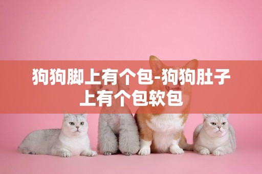 狗狗腳上有個包-狗狗肚子上有個包軟包