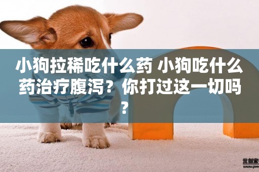 小狗拉稀吃什么藥 小狗吃什么藥治療腹瀉？你打過這一切嗎？ 