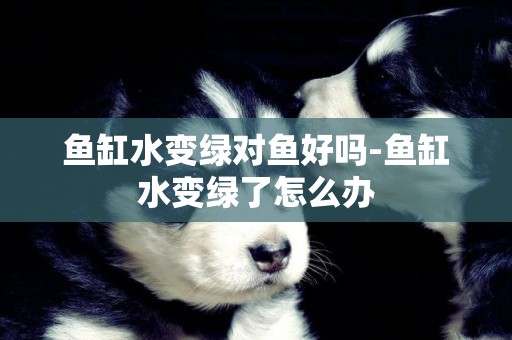 魚缸水變綠對魚好嗎-魚缸水變綠了怎么辦