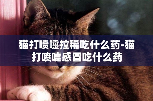 貓打噴嚏拉稀吃什么藥-貓打噴嚏感冒吃什么藥