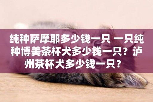 純種薩摩耶多少錢一只 一只純種博美茶杯犬多少錢一只？瀘州茶杯犬多少錢一只？ 