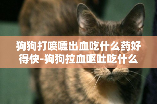 狗狗打噴嚏出血吃什么藥好得快-狗狗拉血嘔吐吃什么藥好得快