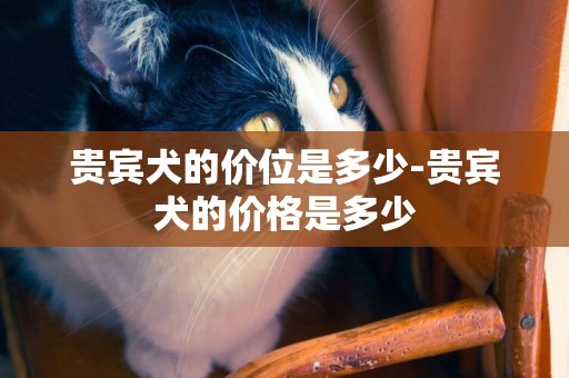 貴賓犬的價位是多少-貴賓犬的價格是多少