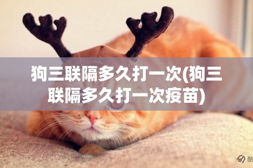 狗三聯隔多久打一次(狗三聯隔多久打一次疫苗)