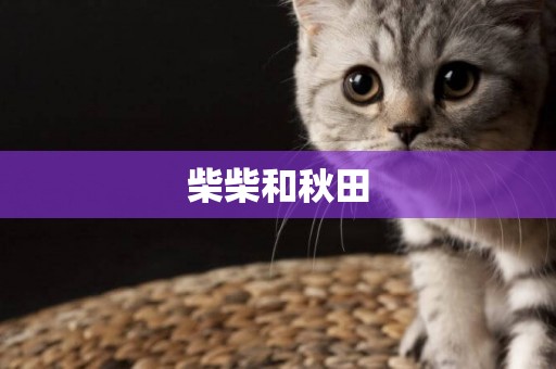 柴柴和秋田