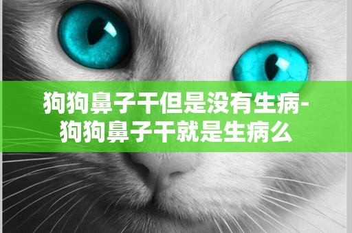狗狗鼻子干但是沒有生病-狗狗鼻子干就是生病么