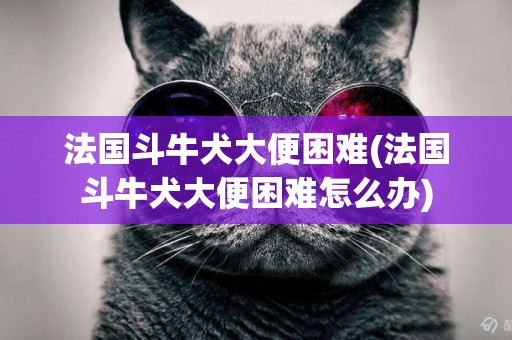 法國斗牛犬大便困難(法國斗牛犬大便困難怎么辦)