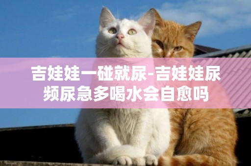 吉娃娃一碰就尿-吉娃娃尿頻尿急多喝水會自愈嗎