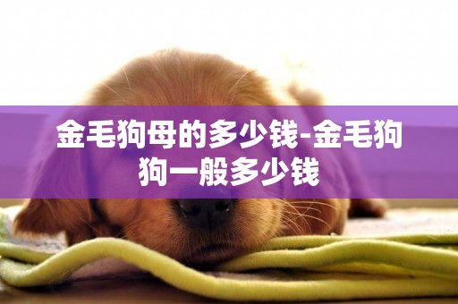 金毛狗母的多少錢-金毛狗狗一般多少錢