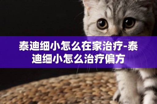 泰迪細小怎么在家治療-泰迪細小怎么治療偏方