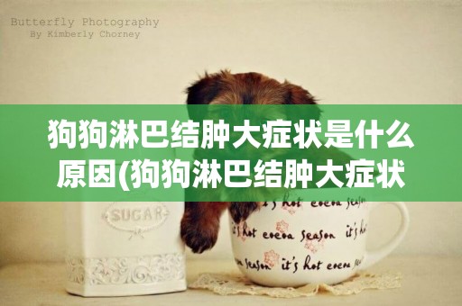 狗狗淋巴結腫大癥狀是什么原因(狗狗淋巴結腫大癥狀是什么原因引起的)