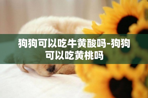 狗狗可以吃牛黃酸嗎-狗狗可以吃黃桃嗎
