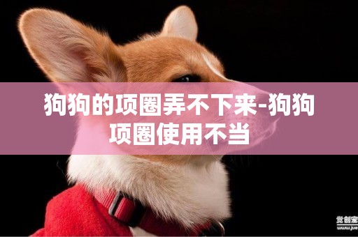 狗狗的項圈弄不下來-狗狗項圈使用不當