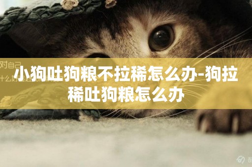小狗吐狗糧不拉稀怎么辦-狗拉稀吐狗糧怎么辦