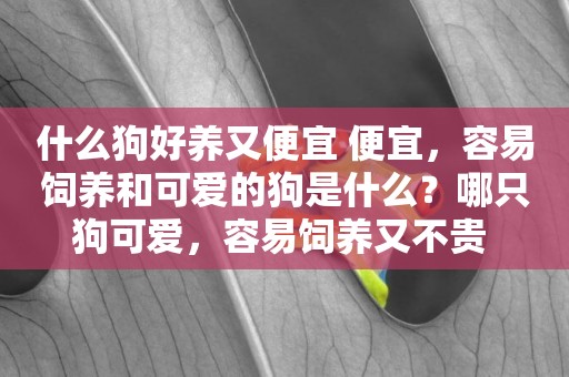 什么狗好養又便宜 便宜，容易飼養和可愛的狗是什么？哪只狗可愛，容易飼養又不貴 