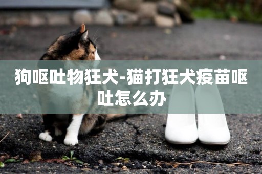 狗嘔吐物狂犬-貓打狂犬疫苗嘔吐怎么辦