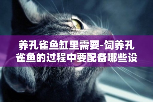 養孔雀魚缸里需要-飼養孔雀魚的過程中要配備哪些設備及作用