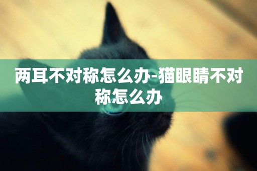 兩耳不對稱怎么辦-貓眼睛不對稱怎么辦
