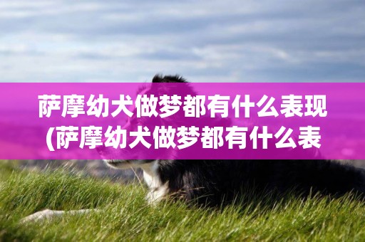薩摩幼犬做夢都有什么表現(薩摩幼犬做夢都有什么表現呢)