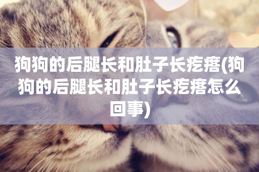 狗狗的后腿長和肚子長疙瘩(狗狗的后腿長和肚子長疙瘩怎么回事)