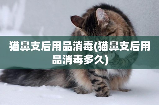 貓鼻支后用品消毒(貓鼻支后用品消毒多久)