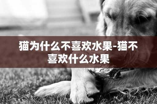 貓為什么不喜歡水果-貓不喜歡什么水果