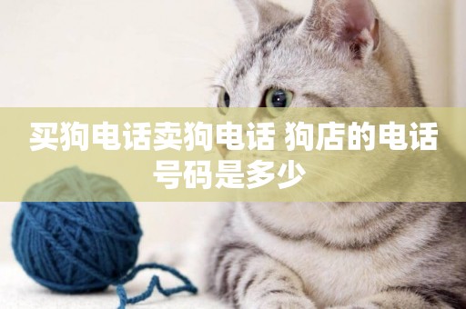 買狗電話賣狗電話 狗店的電話號碼是多少 