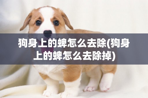 狗身上的蜱怎么去除(狗身上的蜱怎么去除掉)