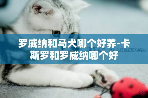 羅威納和馬犬哪個好養-卡斯羅和羅威納哪個好