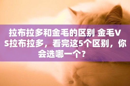 拉布拉多和金毛的區別 金毛VS拉布拉多，看完這5個區別，你會選哪一個？ 