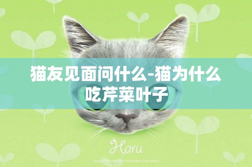 貓友見面問什么-貓為什么吃芹菜葉子