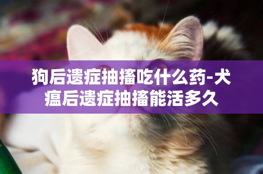 狗后遺癥抽搐吃什么藥-犬瘟后遺癥抽搐能活多久