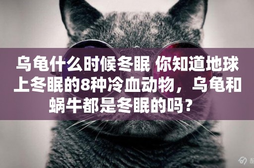 烏龜什么時候冬眠 你知道地球上冬眠的8種冷血動物，烏龜和蝸牛都是冬眠的嗎？ 