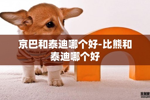 京巴和泰迪哪個好-比熊和泰迪哪個好