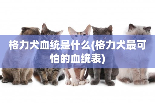 格力犬血統是什么(格力犬最可怕的血統表)