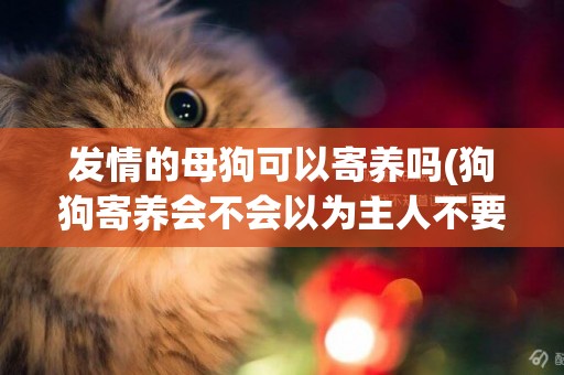 發情的母狗可以寄養嗎(狗狗寄養會不會以為主人不要它了)