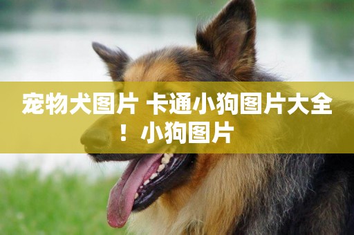 寵物犬圖片 卡通小狗圖片大全！小狗圖片 