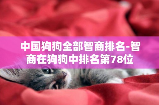 中國狗狗全部智商排名-智商在狗狗中排名第78位