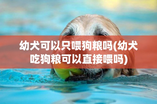 幼犬可以只喂狗糧嗎(幼犬吃狗糧可以直接喂嗎)
