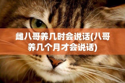 雌八哥養幾時會說話(八哥養幾個月才會說話)