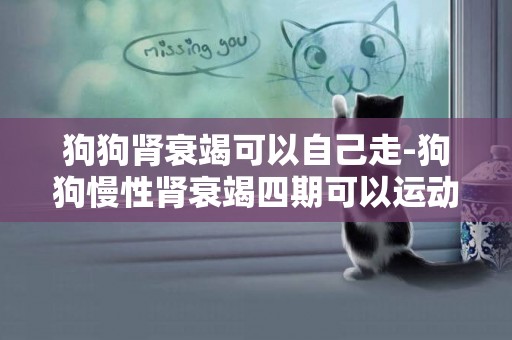 狗狗腎衰竭可以自己走-狗狗慢性腎衰竭四期可以運動嗎